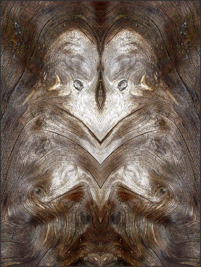 2D photo of transdimensional being
