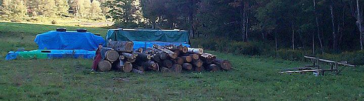 Free Logs